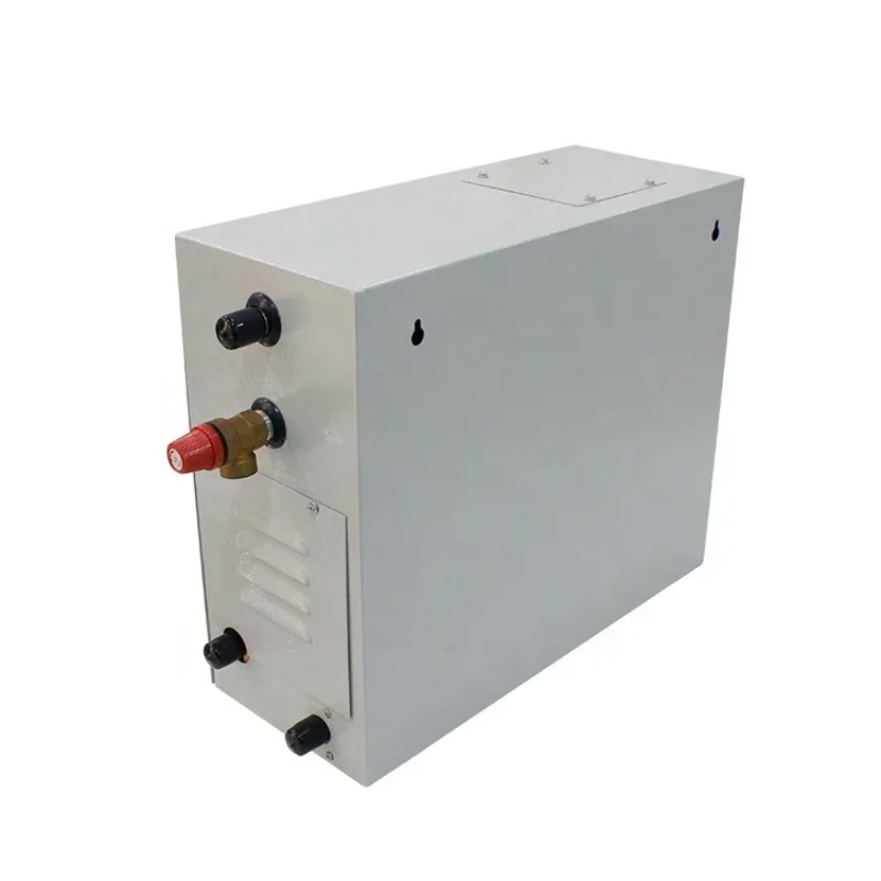 Spa Wellness Hammam - Stoomcabine machine stoom stoombadgenerator voor sportschool